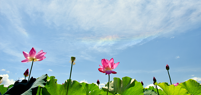 タカ治療室のきほん