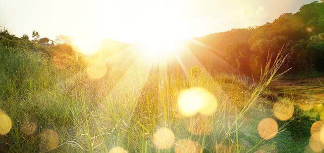 タカ治療室のなかみ