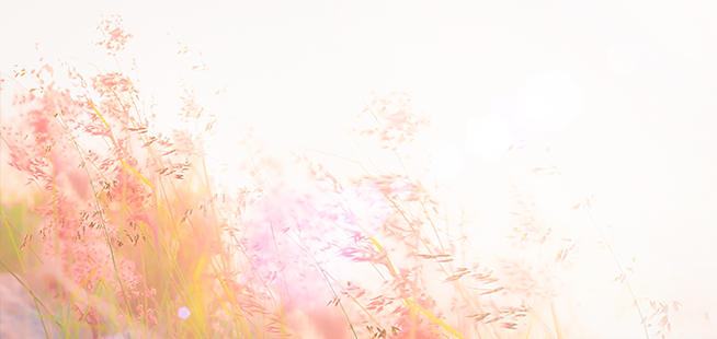 タカ治療室とともに