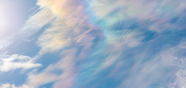 タカ治療室につなぐ